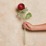 Ranunculus Real Touch Flower Stem