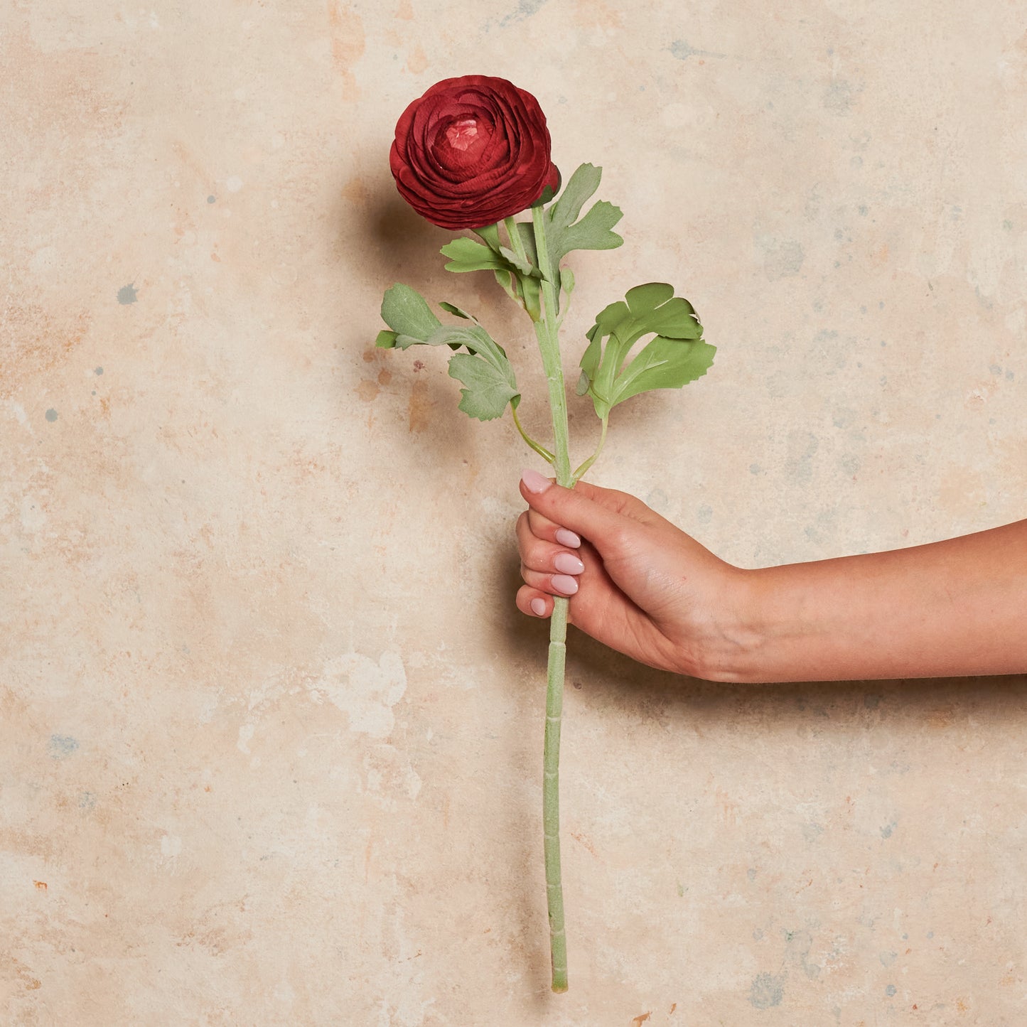 Ranunculus Real Touch Flower Stem