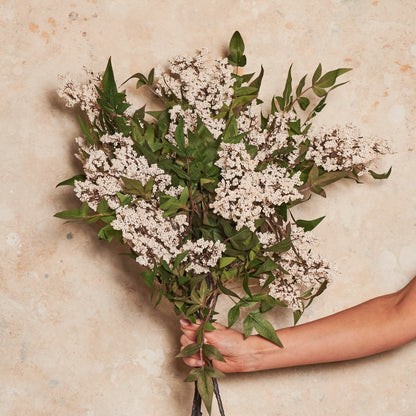 Pepperberry Cluster Real Touch Flower Stem