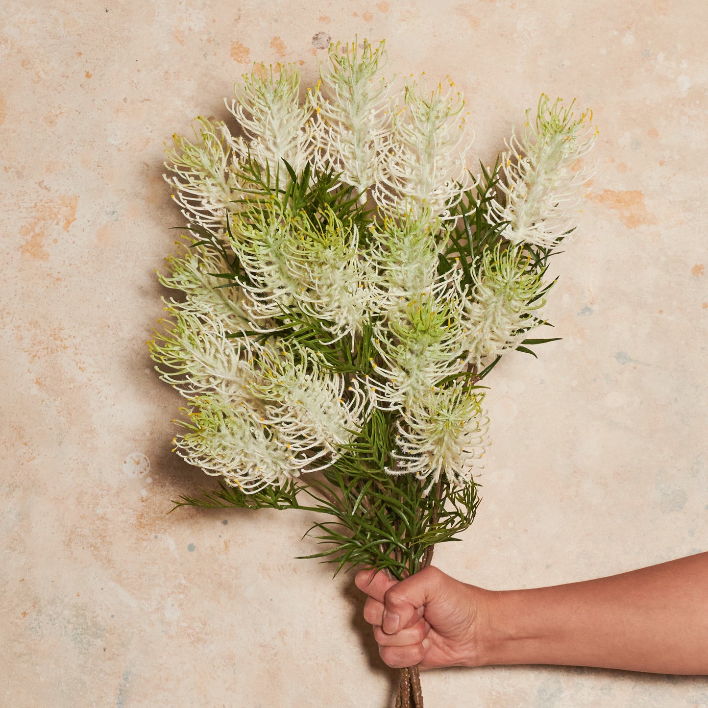 Grevillea Real Touch Flower Stem