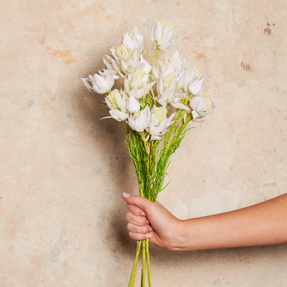 Blushing Bride Real Touch Flower Stem