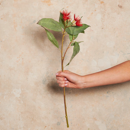 Eucalyptus Flowering Pod Real Touch Flower Stem