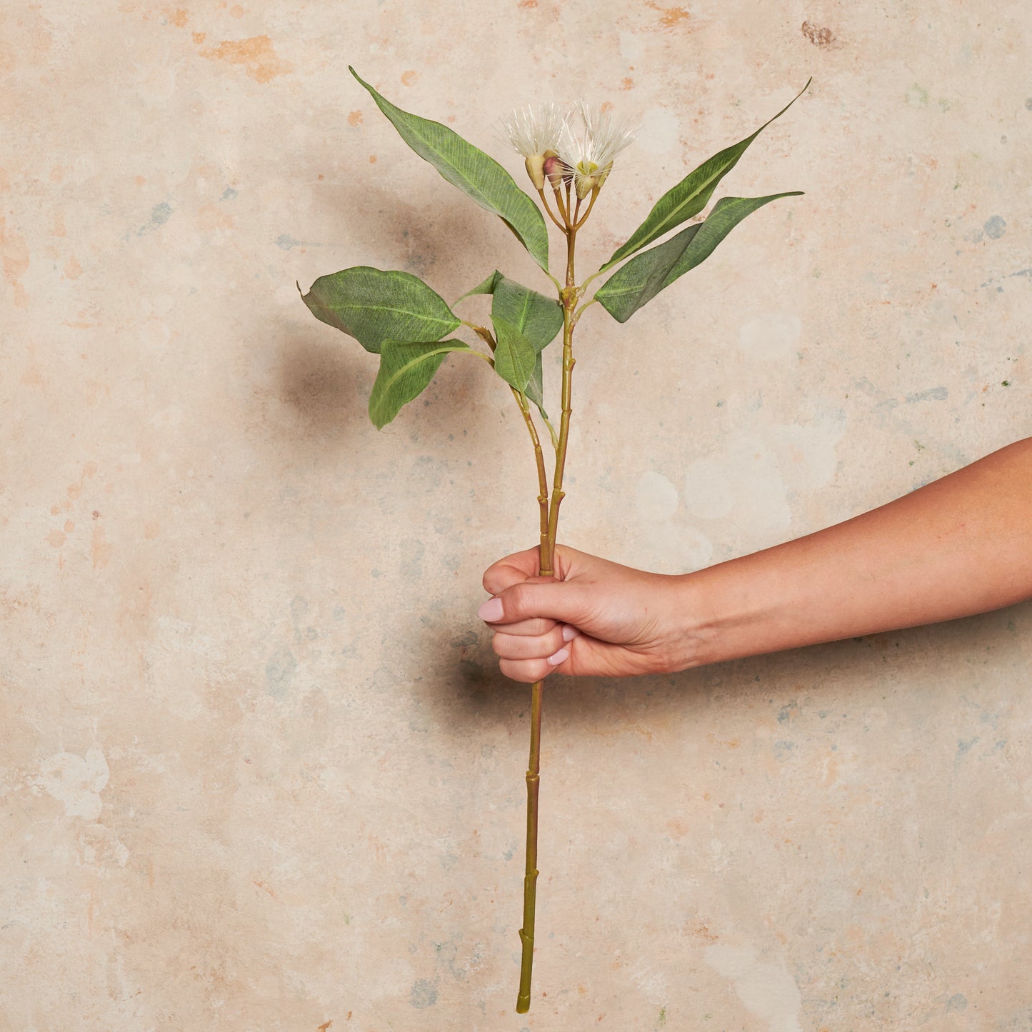 Eucalyptus Flowering Pod Real Touch Flower Stem
