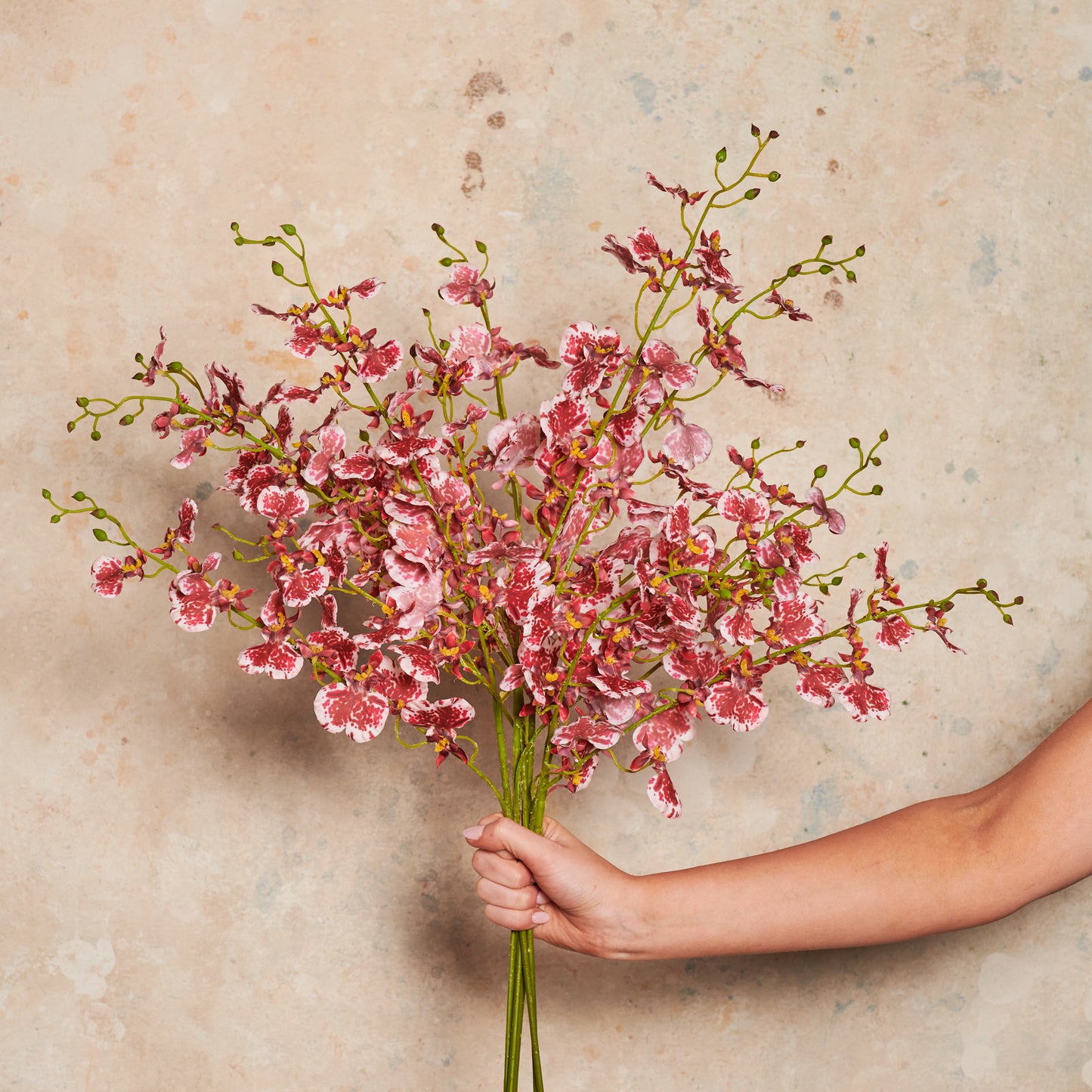 Dancing Orchid Real Touch