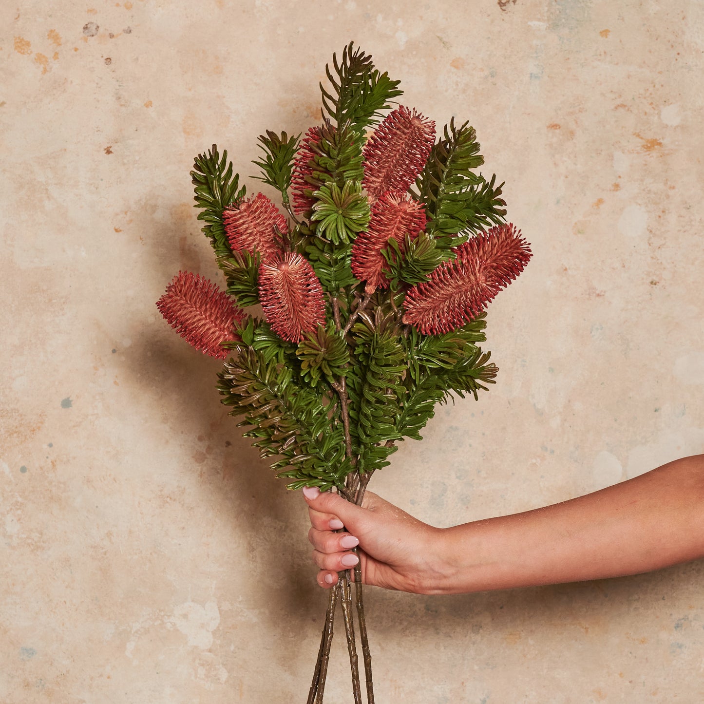 Banksia Spray Real Touch Flower Stem