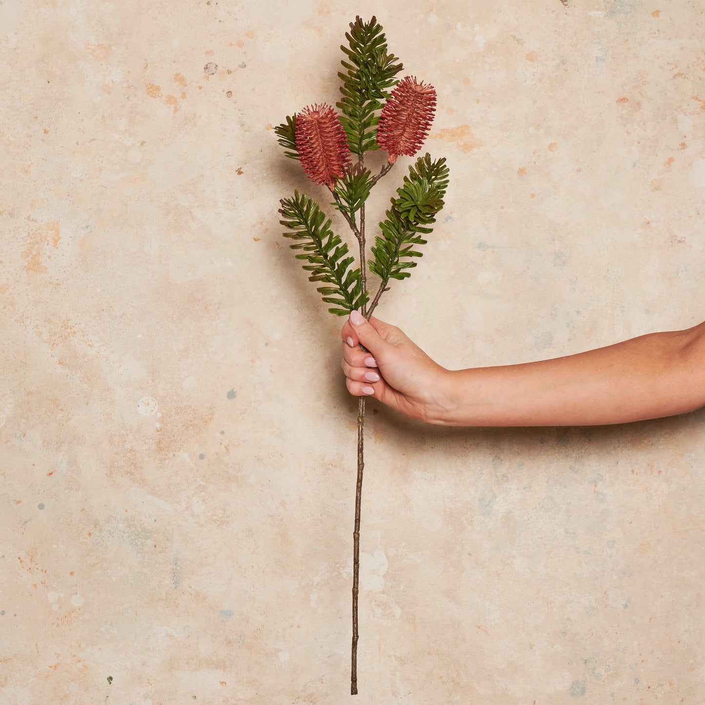 Banksia Spray Real Touch Flower Stem