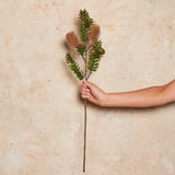 Banksia Spray Real Touch Flower Stem