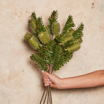 Banksia Spray Real Touch Flower Stem