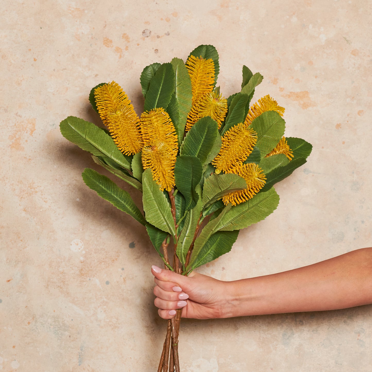 Banksia Spray Real Touch Flower Stem