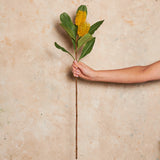Banksia Spray Real Touch Flower Stem