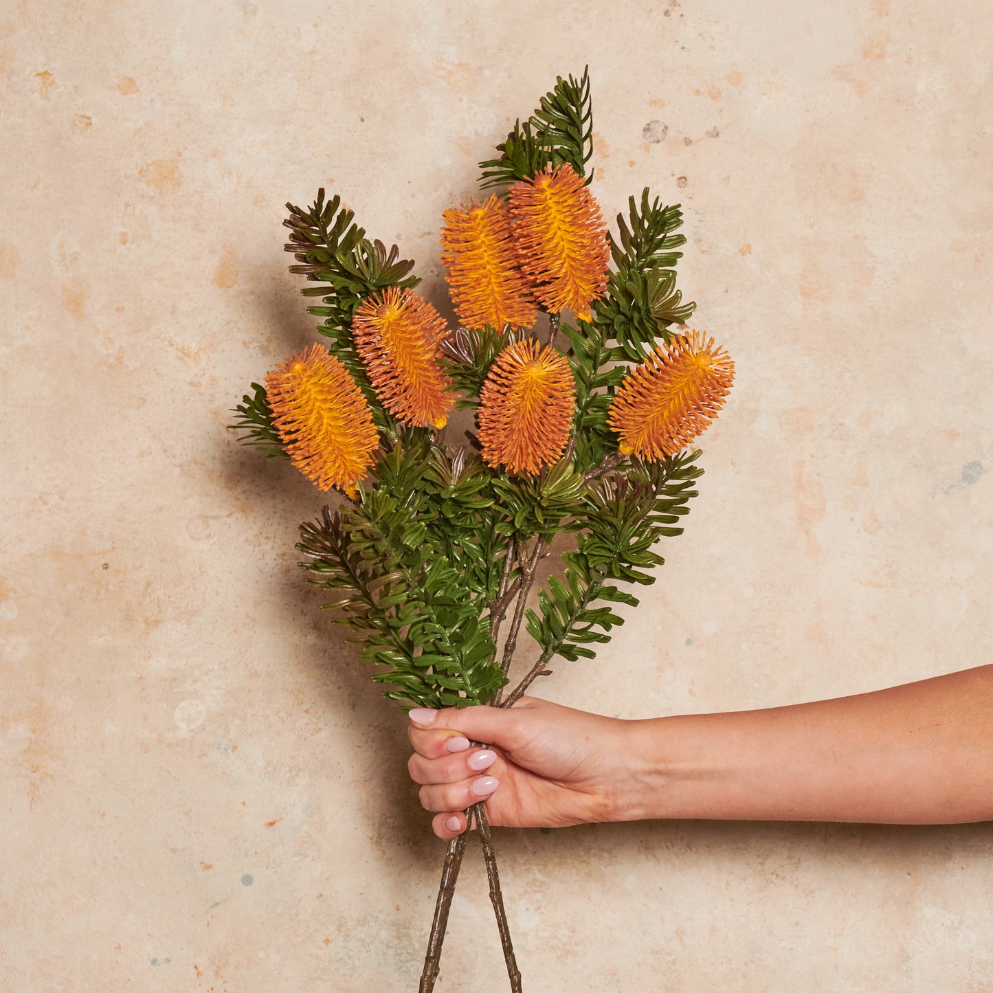Banksia Spray Real Touch Flower Stem