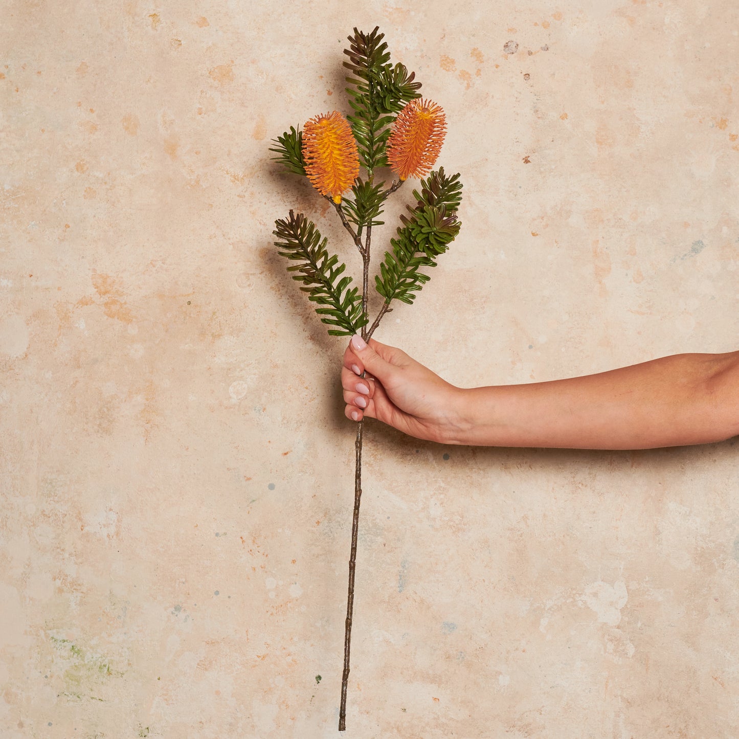 Banksia Spray Real Touch Flower Stem