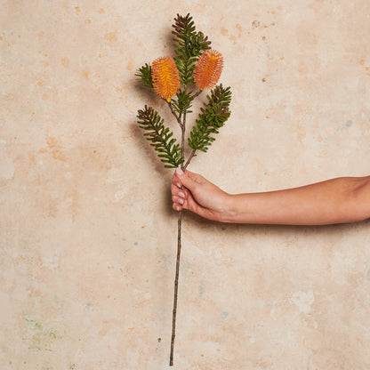 Banksia Spray Real Touch Flower Stem