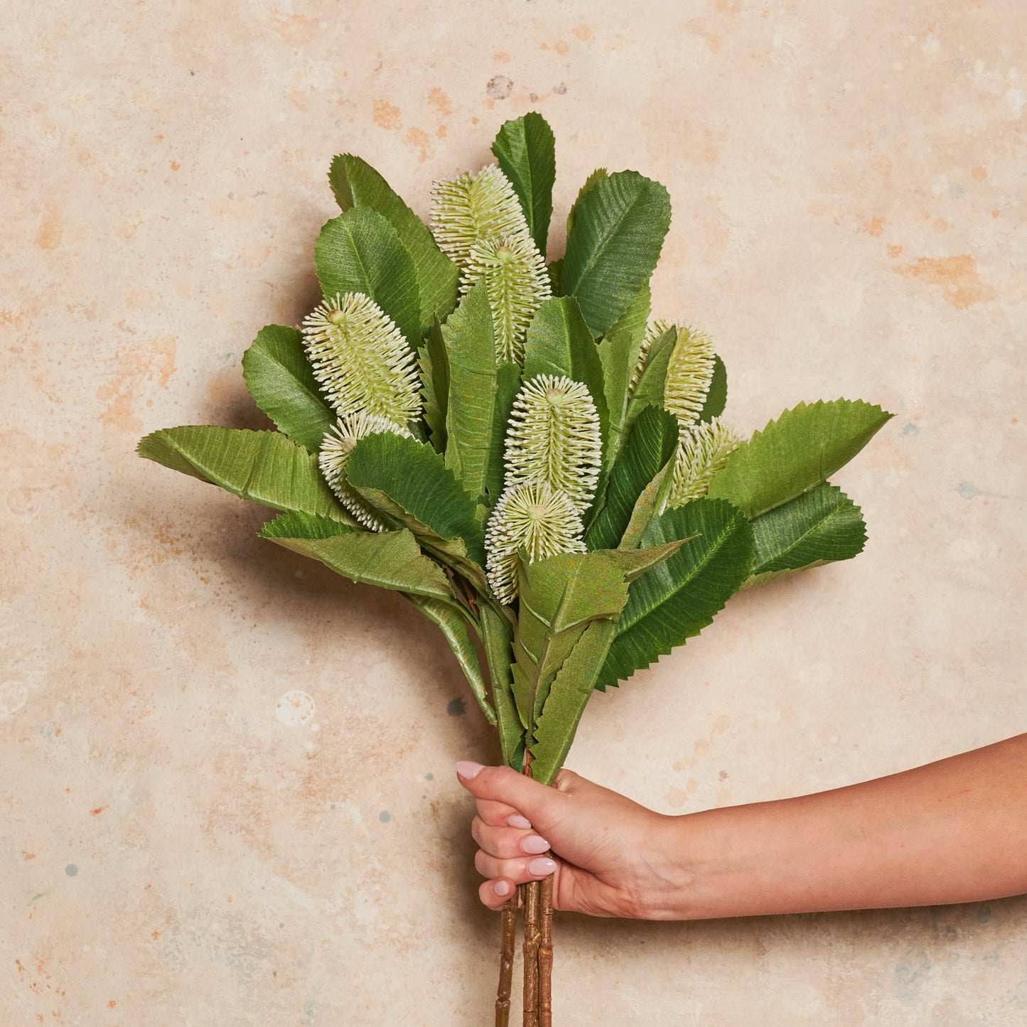 Banksia Spray Real Touch Flower Stem