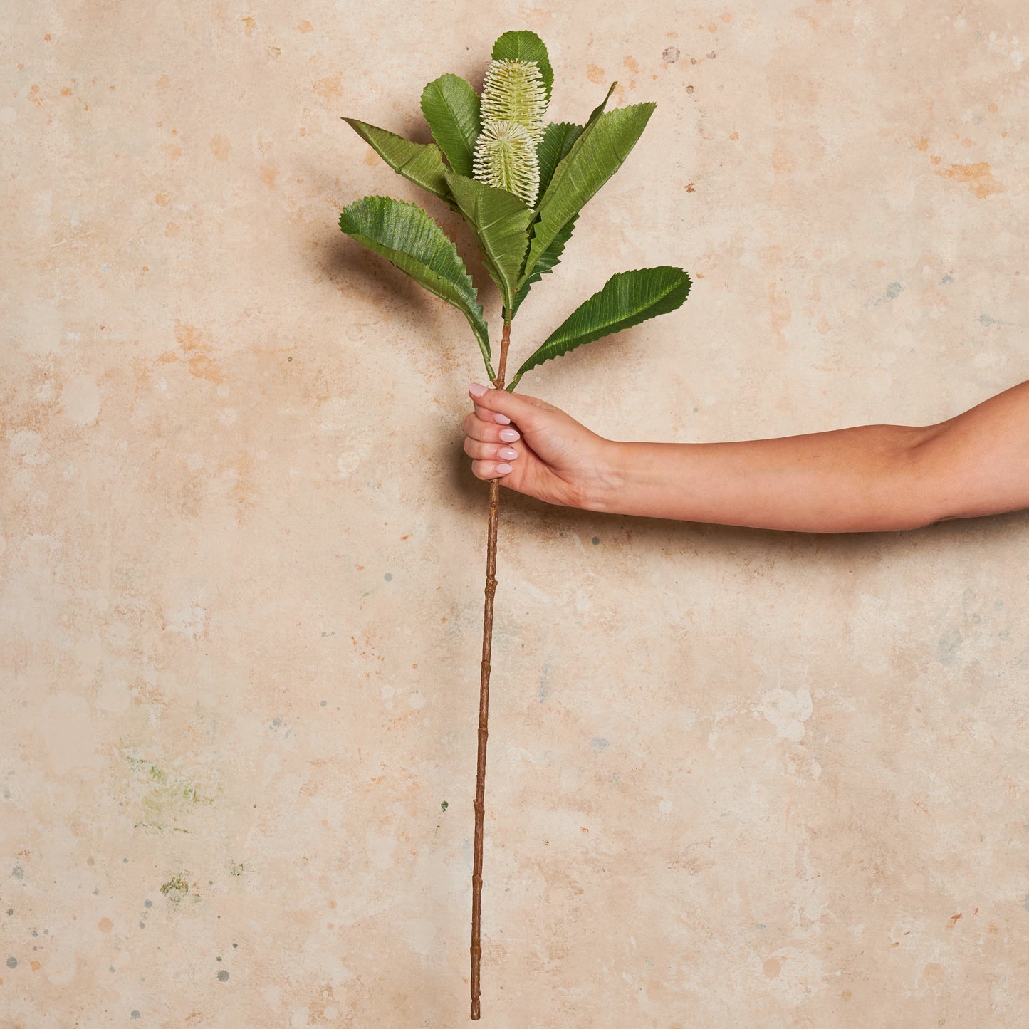 Banksia Spray Real Touch Flower Stem