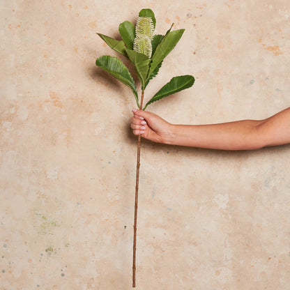 Banksia Spray Real Touch Flower Stem