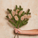 Banksia Spray Real Touch Flower Stem