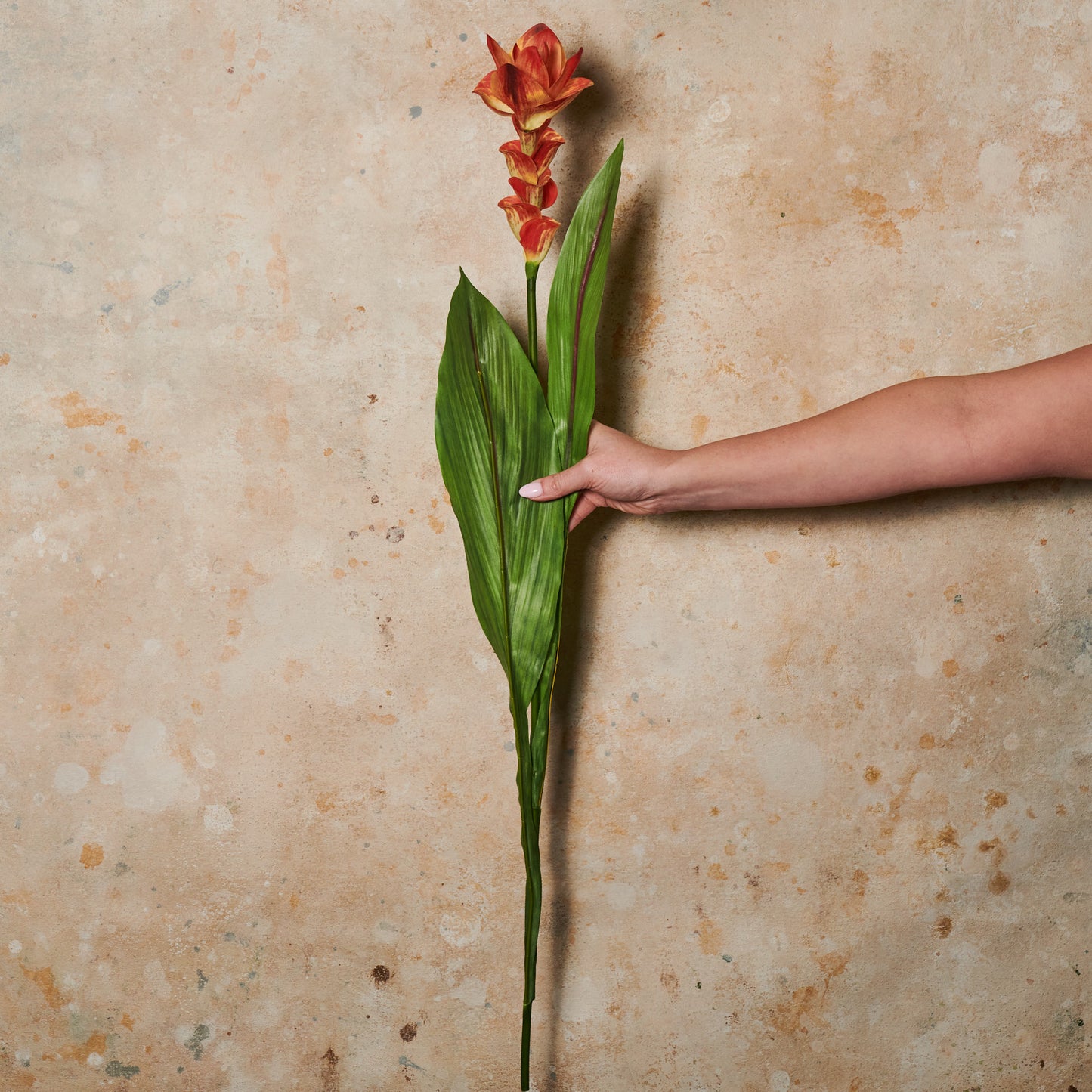 Ginger Flower Real Touch Stem