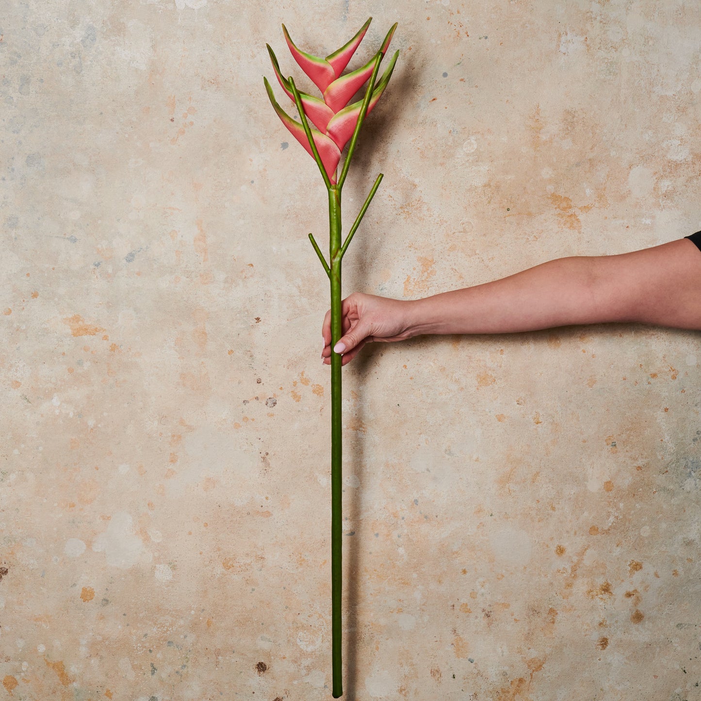 Heliconia Real Touch Flower Stem