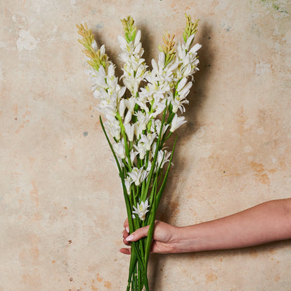 Tuberose Real Touch Flower Stem