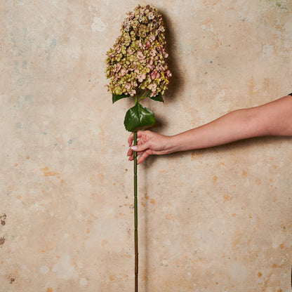 Cone Hydrangea Real Touch Flower Stem