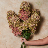 Cone Hydrangea Real Touch Flower Stem