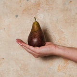 Pear Bartlet Artificial Fruit