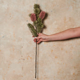 Banksia Spray Real Touch Flower Stem