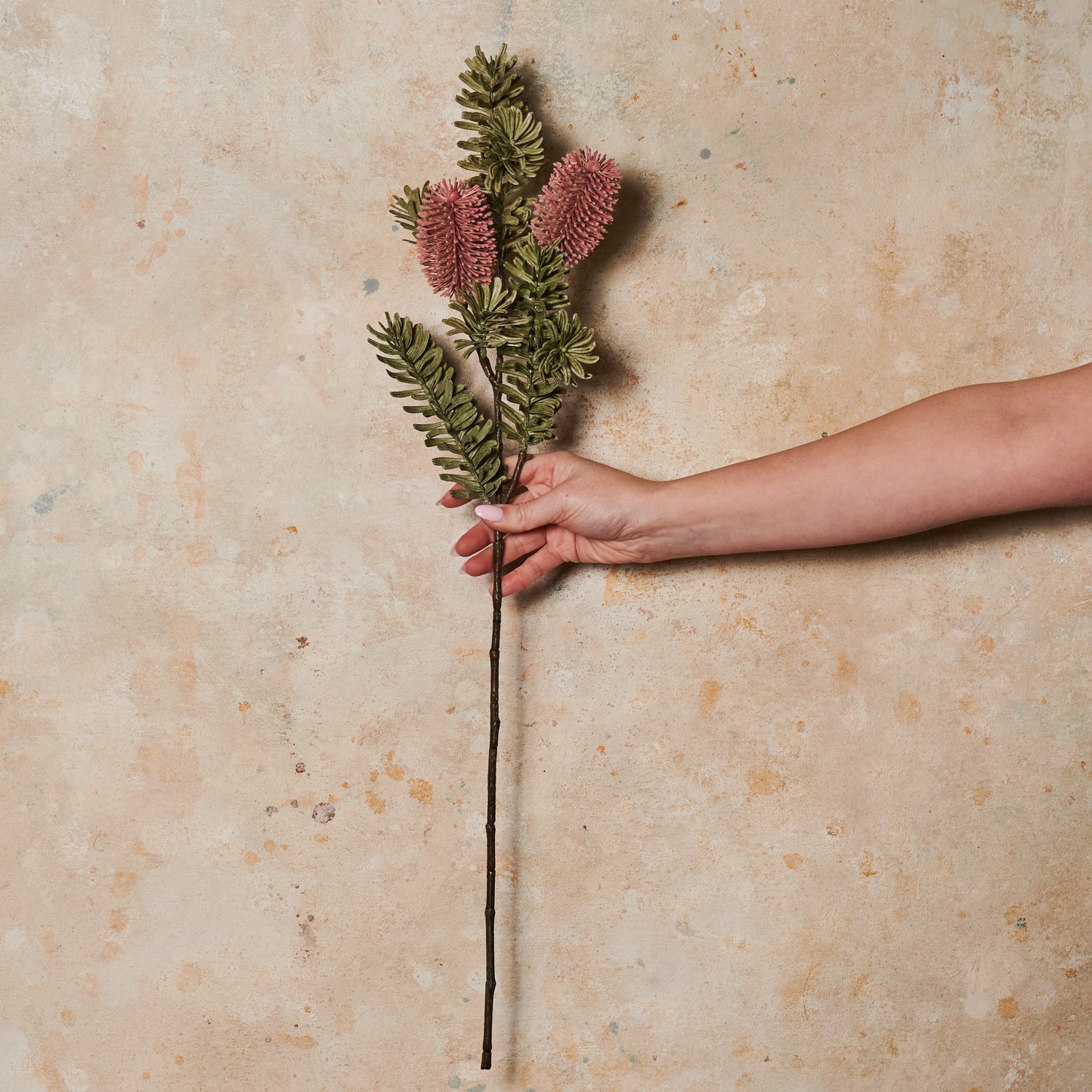 Banksia Spray Real Touch Flower Stem