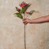 Flowering Eucalyptus Real Touch Flower Stem