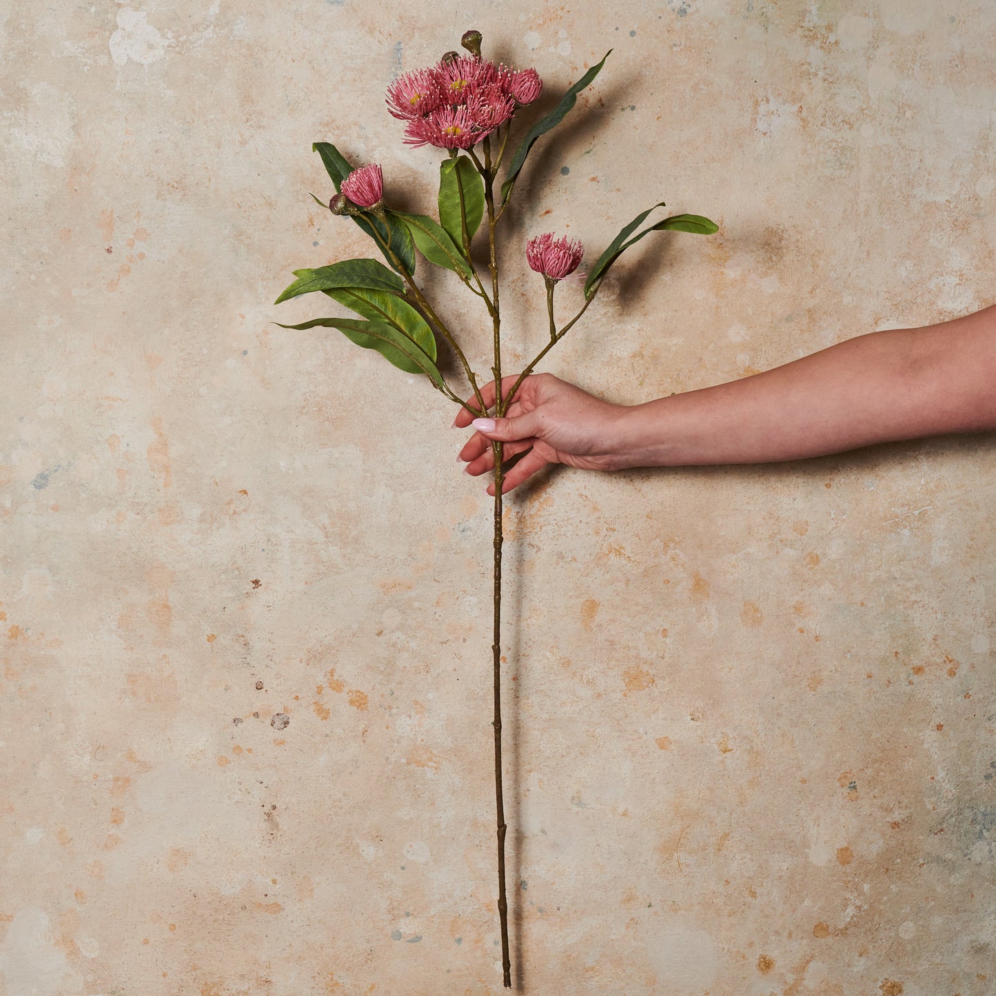 Flowering Eucalyptus Real Touch Flower Stem