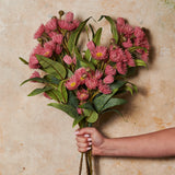 Flowering Eucalyptus Real Touch Flower Stem