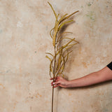 Banksia Leaf Natural Real Touch Flower Stem