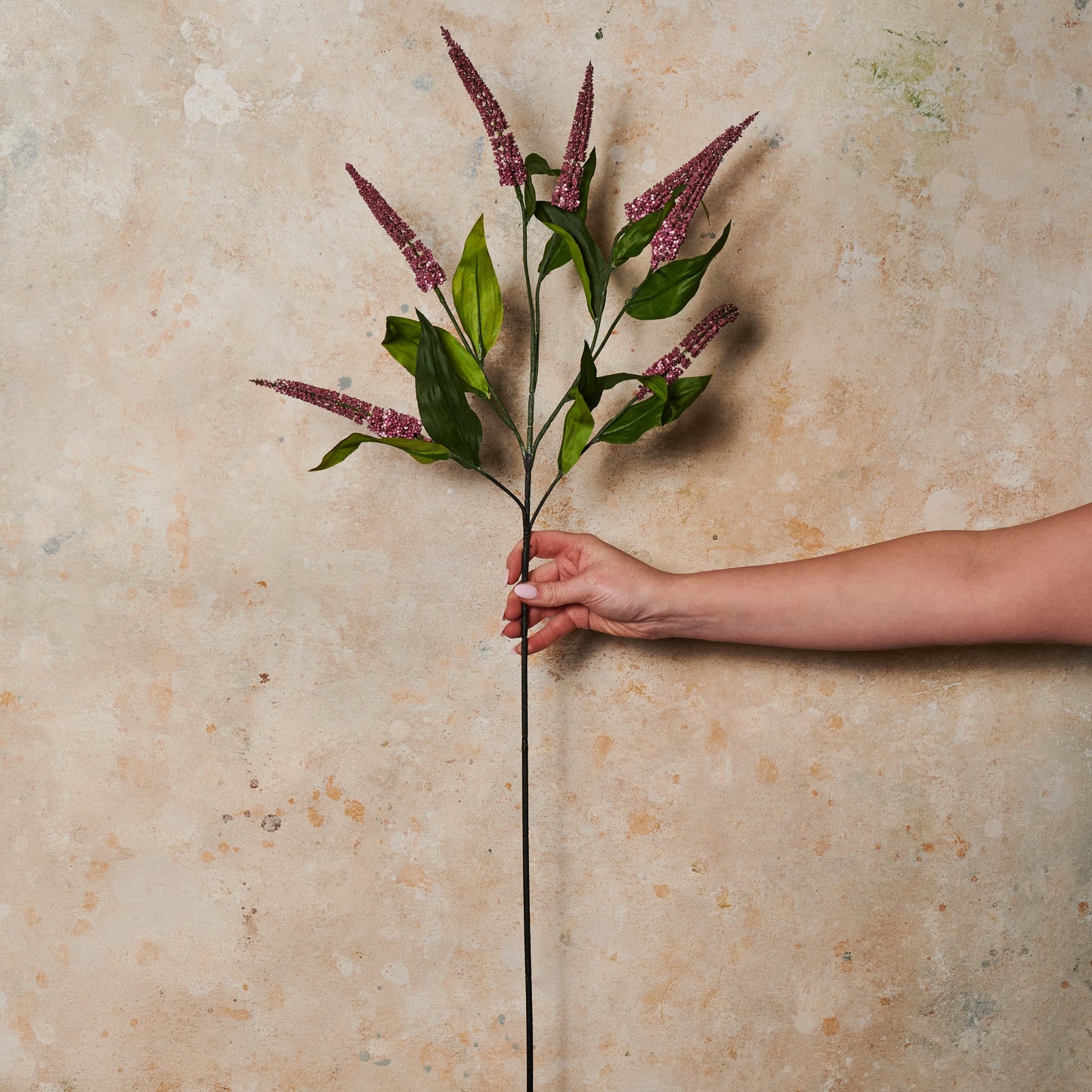 Cascara Berry Spray Real Touch Stem