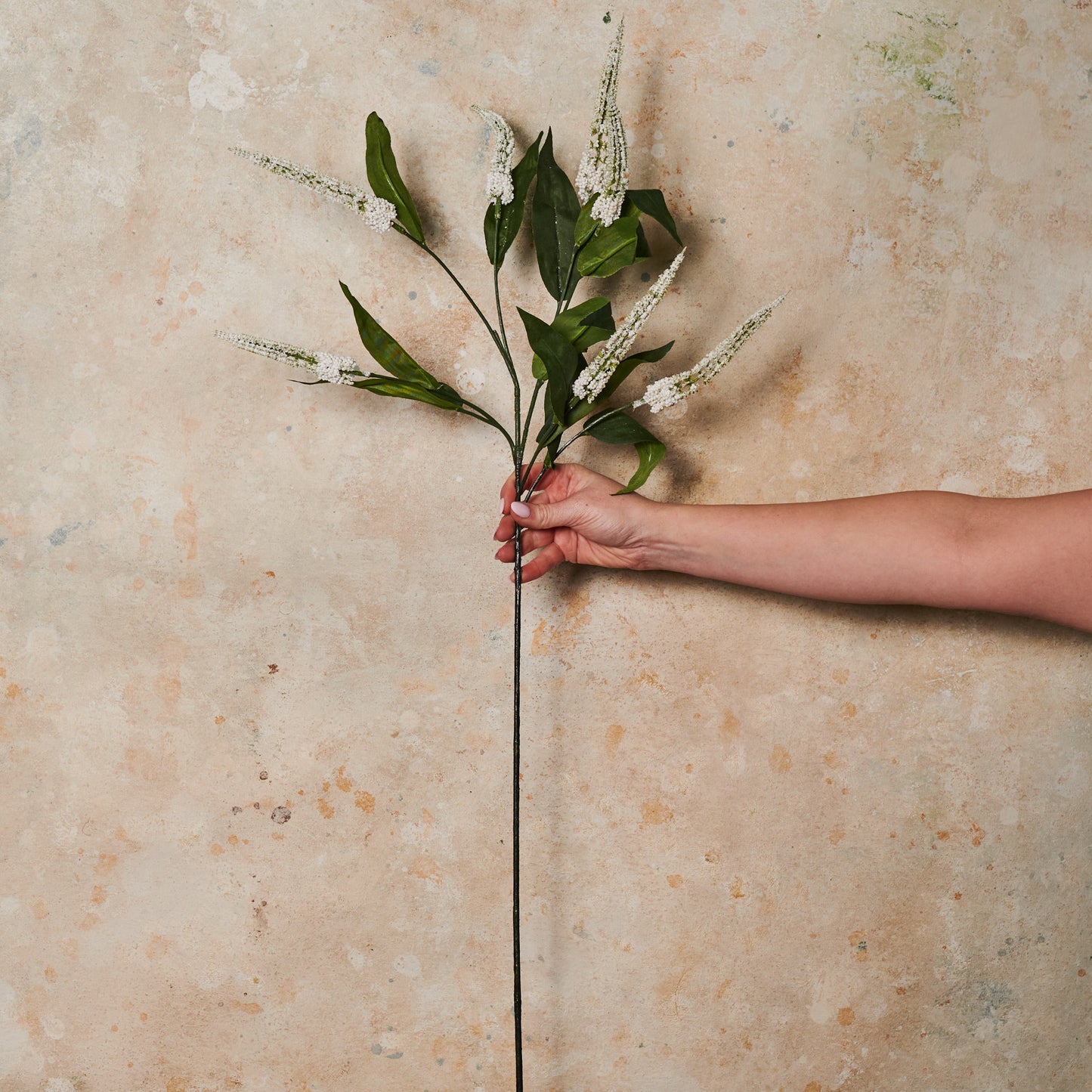 Cascara Berry Spray Real Touch Stem