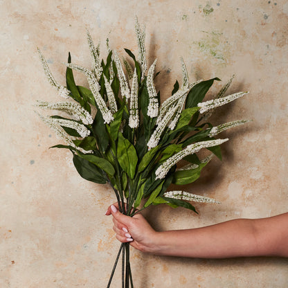 Cascara Berry Spray Real Touch Stem