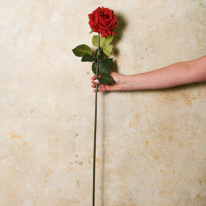 Rose Hannah Real Touch Flower Stem
