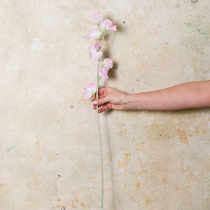 Sweet Pea Real Touch Flower Stem