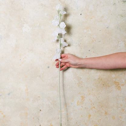 Sweet Pea Real Touch Flower Stem