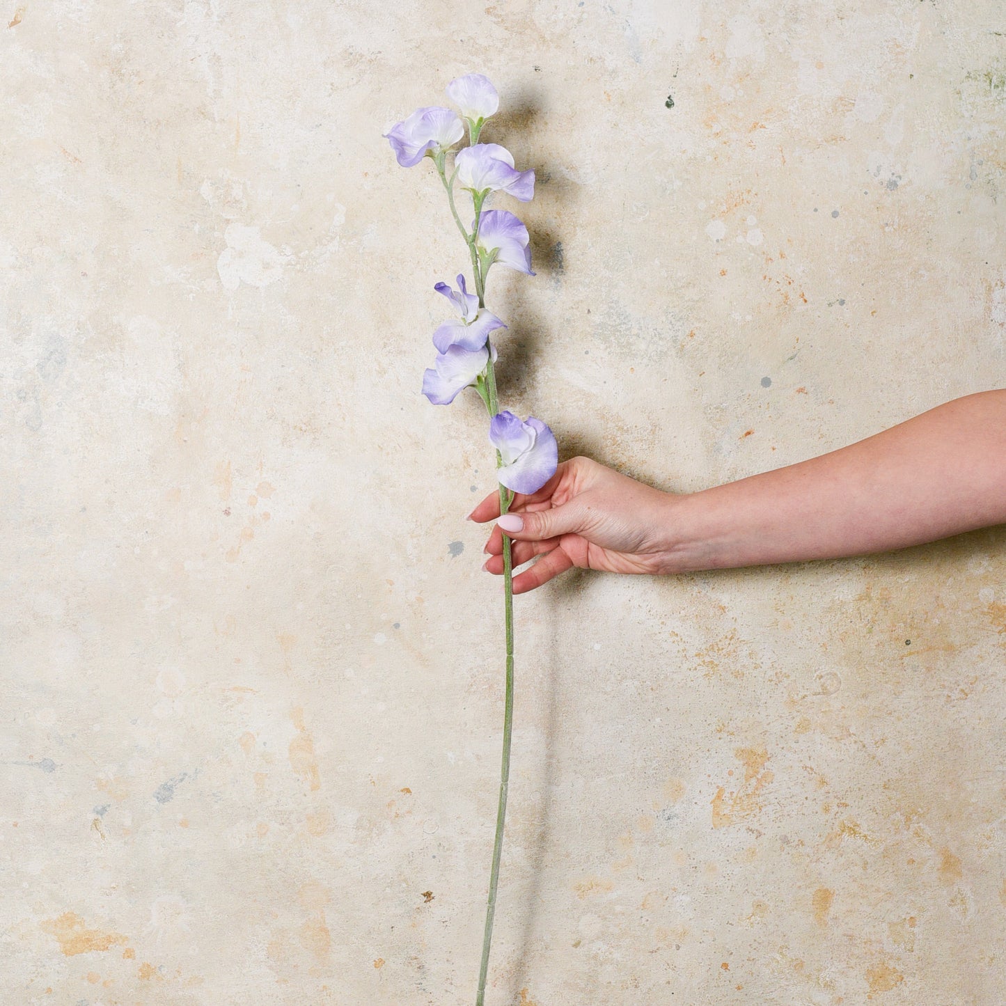 Sweet Pea Real Touch Flower Stem
