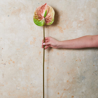 Anthurium Real Touch Flower Stem