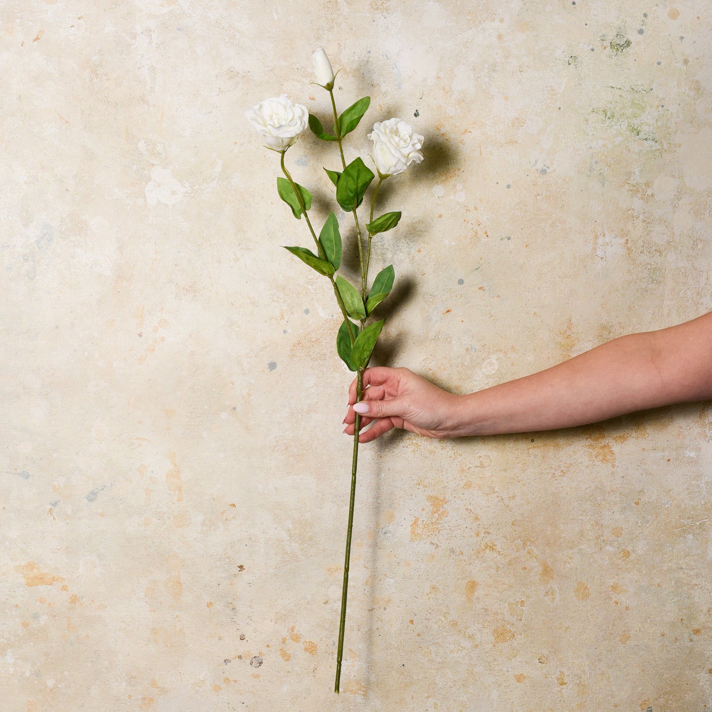 Lisianthus Real Touch Flower Stem