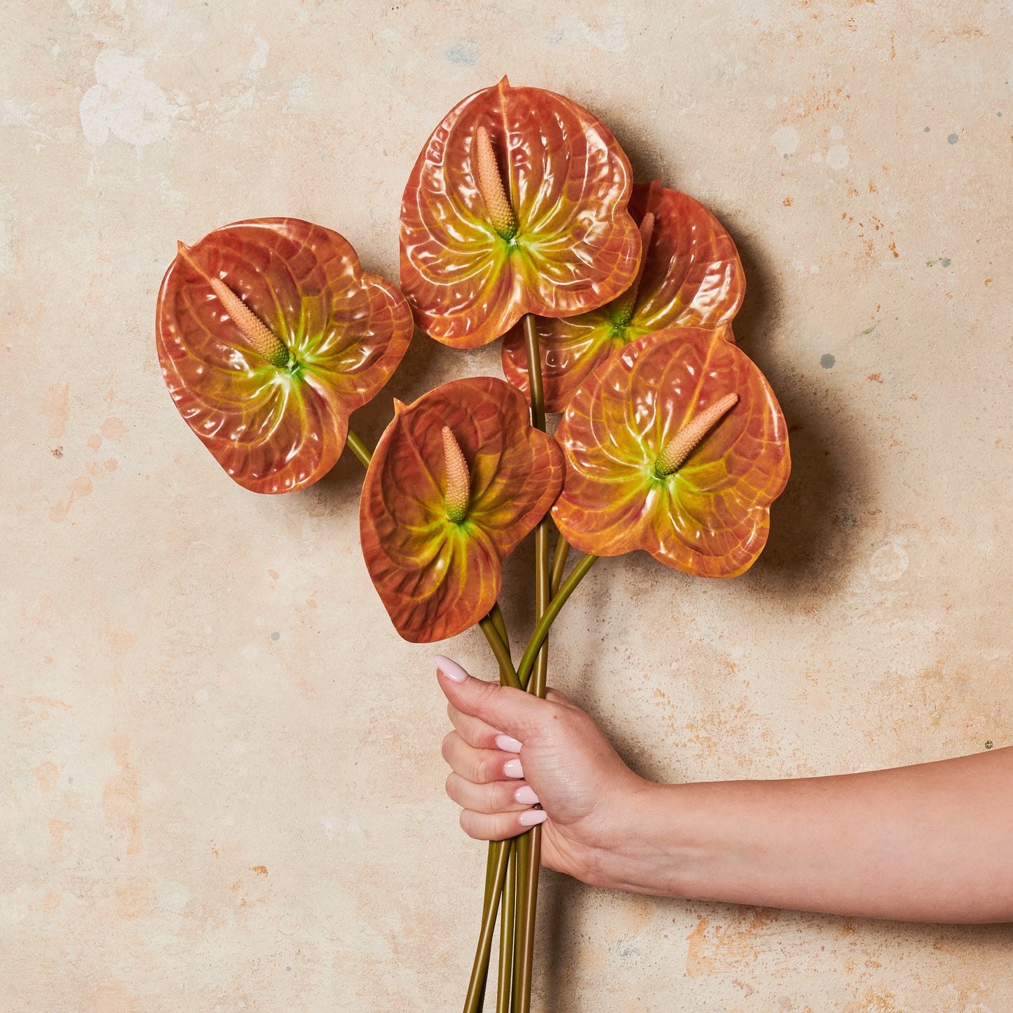 Anthurium Real Touch Flower Stem