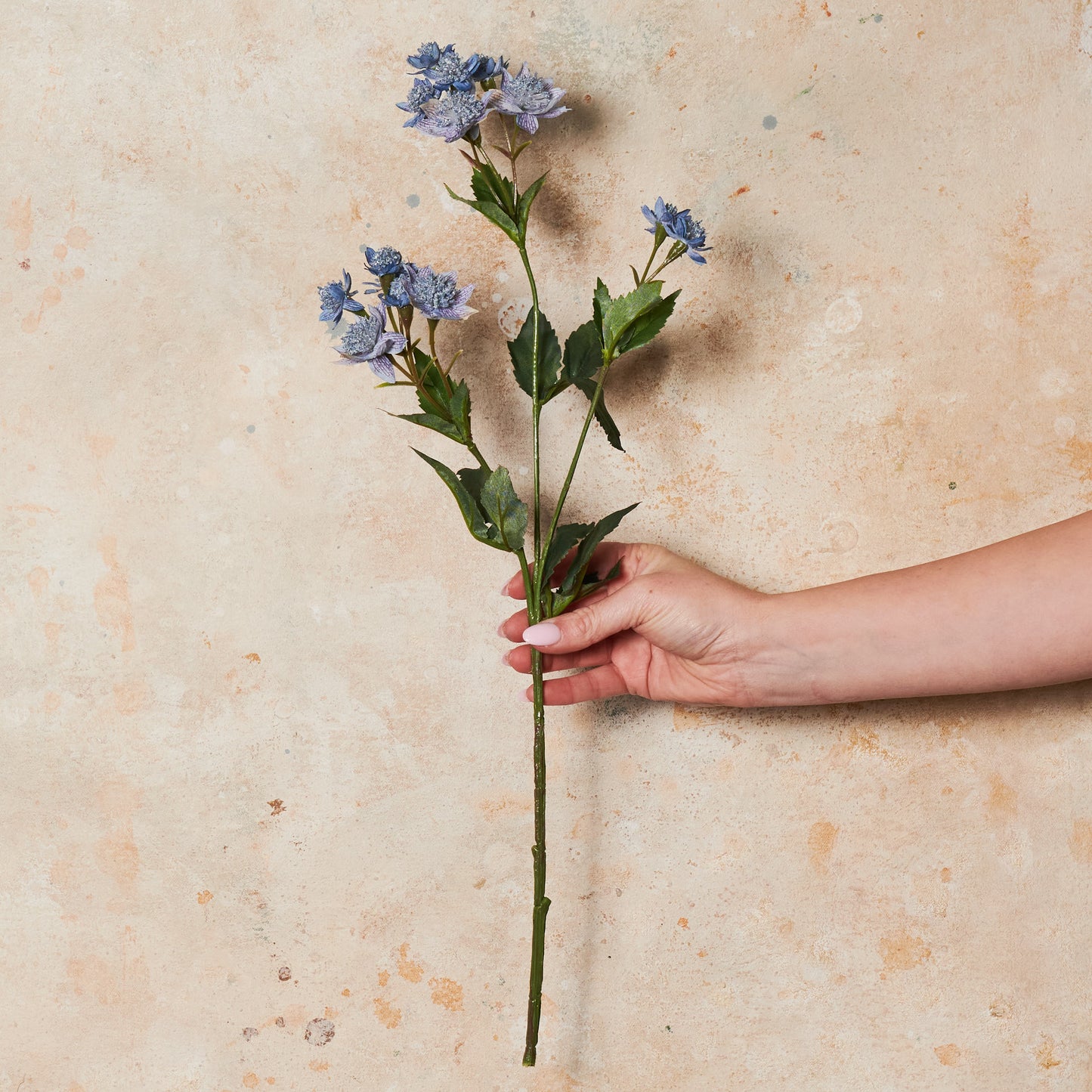 Astrantia Real Touch Flower Stem