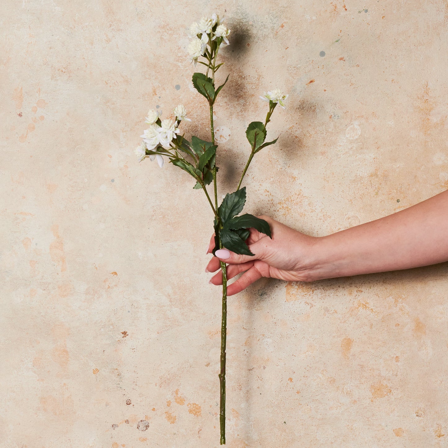 Astrantia Real Touch Flower Stem