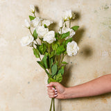 Lisianthus Real Touch Flower Stem