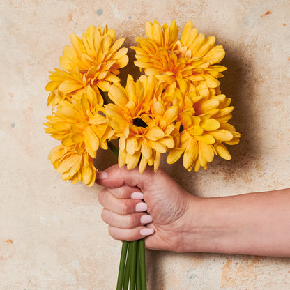Gerbera Flower Bundle