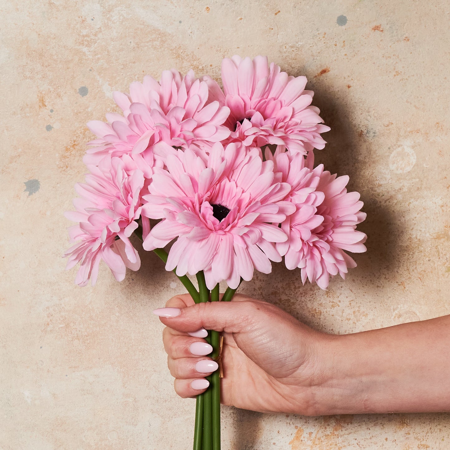 Gerbera Flower Bundle