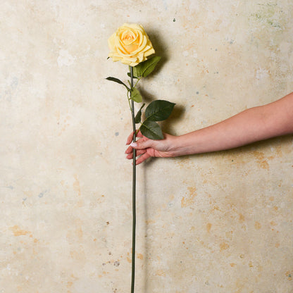 Rose Hannah Real Touch Flower Stem
