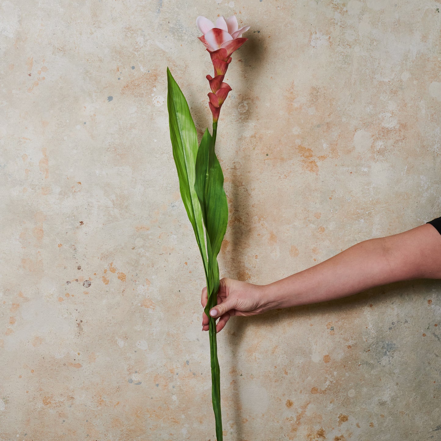 Ginger Flower Real Touch Stem